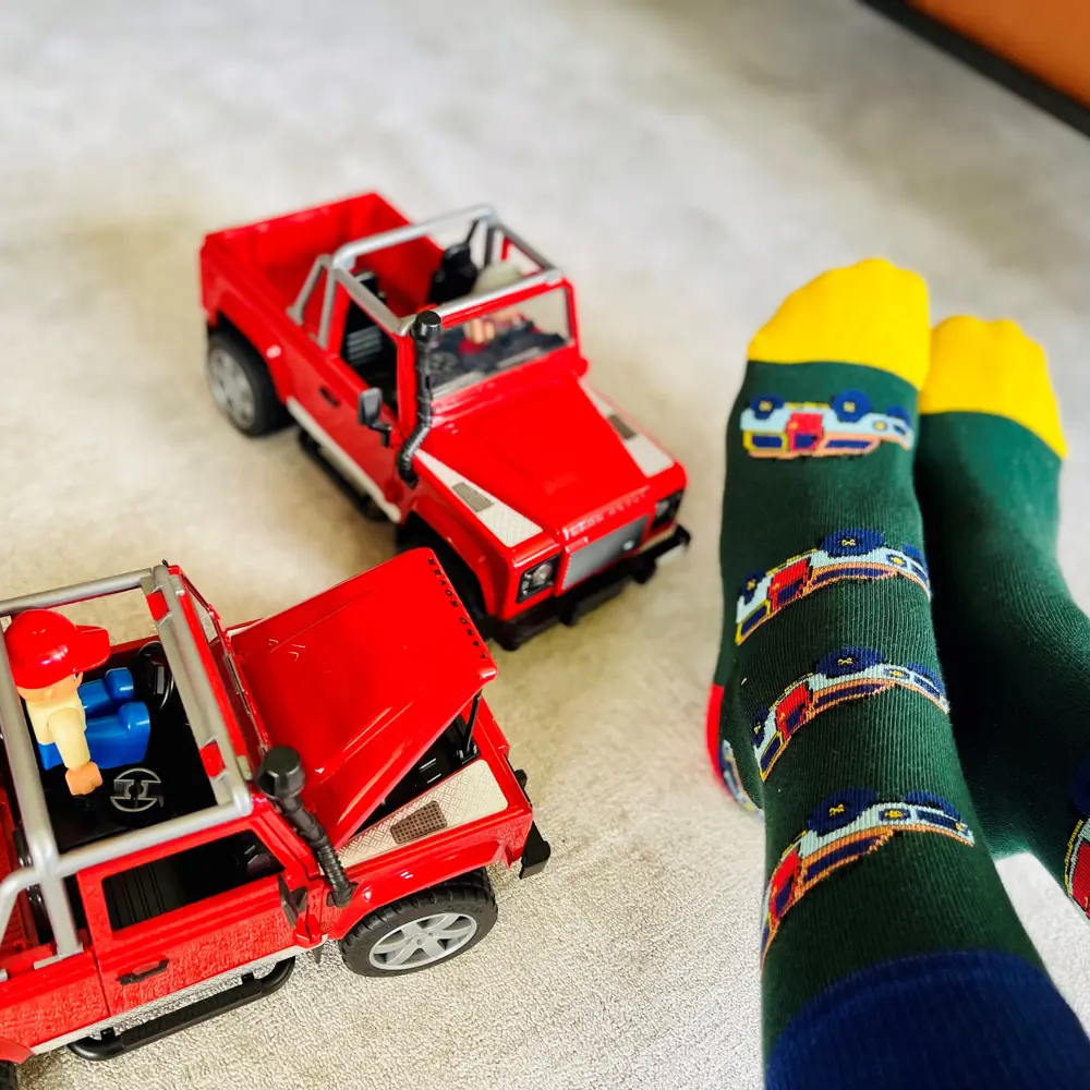 Dilly Socks Autocity Emil Frey Zürich Nord Edition Defender